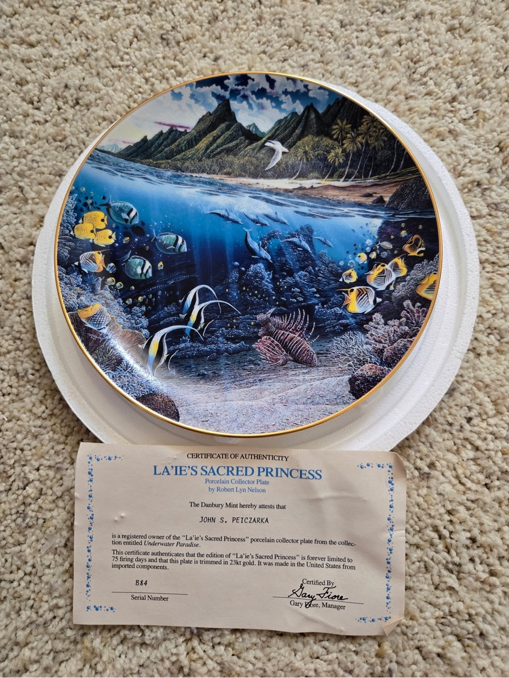 Set of 8 Porcelain Collector Plate – underwater Scene